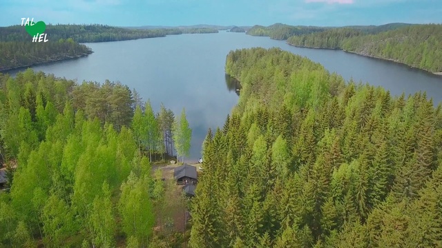 Video Reference: Natural landscape, Nature, Water resources, Water, Nature reserve, Vegetation, Reservoir, Tree, Natural environment, Lake