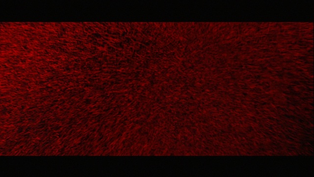 Video Reference: red, black, text, maroon, font, darkness, pattern, line, area, computer wallpaper