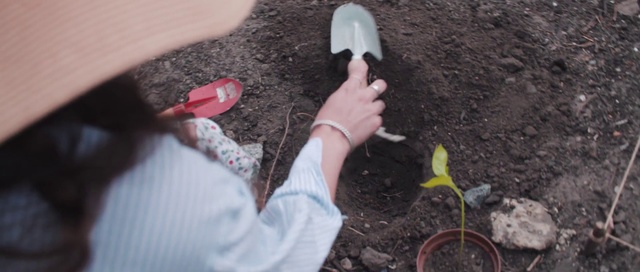 Video Reference: Soil, Compost, Finger, Sowing, Hand, Play, Plant, Sand