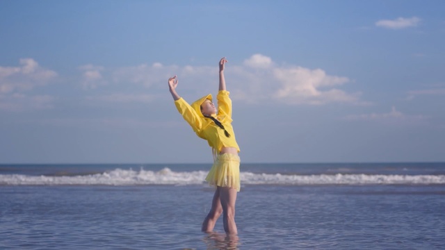 Video Reference: sea, sky, vacation, water, ocean, fun, summer, beach, coastal and oceanic landforms, horizon