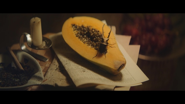 Video Reference: still life photography, still life, macro photography