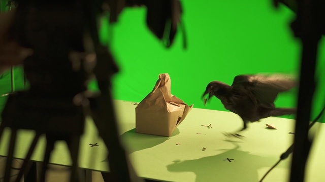 Video Reference: Green, Animation, Organism, Adaptation, Illustration, Finger, Art, Fictional character, Person