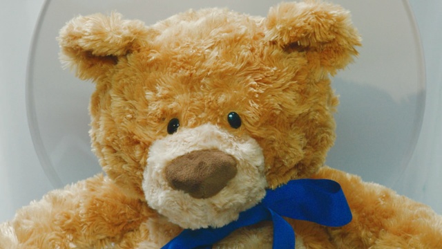 Video Reference: Stuffed toy, Teddy bear, Toy, Plush, Brown, Bear, Snout, Textile