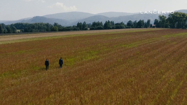 Video Reference: Field, Grassland, Plain, Natural environment, Land lot, Agriculture, Farm, Pasture, Crop, Grass