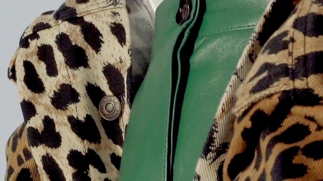 Video Reference: Outerwear, Fur, Wildlife, Sleeve