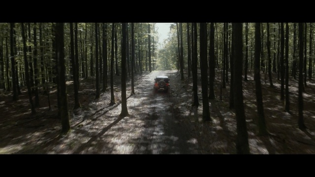 Video Reference: Forest, Woodland, Nature, Tree, Natural environment, Biome, Old-growth forest, Trail, Temperate coniferous forest, Wilderness