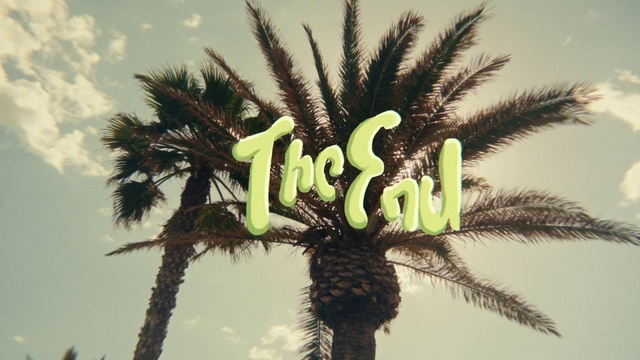 Video Reference: Palm tree, Tree, Arecales, Plant, Woody plant, Sky, Attalea speciosa, Date palm, Terrestrial plant, Elaeis