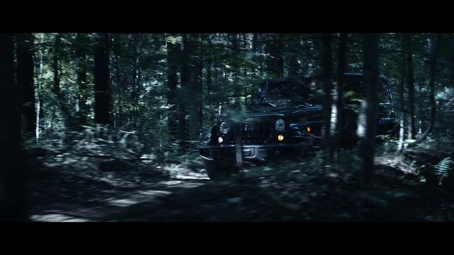 Video Reference: Forest, Nature, Woodland, Natural environment, Tree, Wilderness, Darkness, Biome, Old-growth forest, Jungle