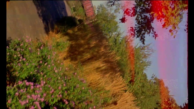 Video Reference: Nature, Painting, Acrylic paint, Plant, Tree, Landscape, Leaf, Flower, Spring, Wildflower