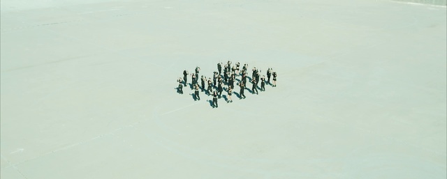 Video Reference: Green, Text, Font, Turquoise, Organism, Line, Design, Macro photography, Photography, Calligraphy