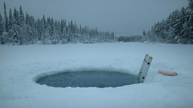 Video Reference: Snow, Winter, Freezing, Ice, Water, Geological phenomenon, Sky, Frost, Tree, Blizzard
