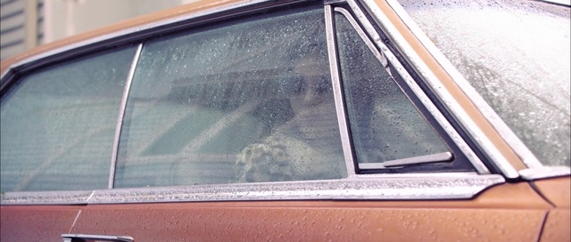 Video Reference: Vehicle door, Automotive exterior, Vehicle, Glass, Window, Car, Auto part, Automotive window part, Windshield, Window film