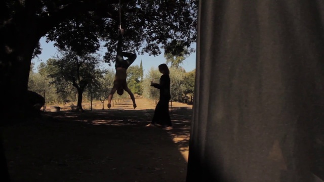 Video Reference: Tree, Sky, Woody plant, Morning, Shadow, Leaf, Branch, Photography, Sunlight, Landscape