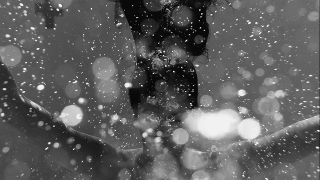 Video Reference: Water, Black, White, Black-and-white, Monochrome, Monochrome photography, Snow, Photography, Sky, Tree