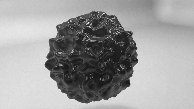 Video Reference: black and white, monochrome photography, monochrome, still life photography