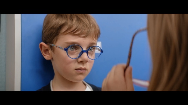 Video Reference: sunglasses, spectacles, sunglass, optical instrument, person, portrait, attractive, face, people, glasses, adult