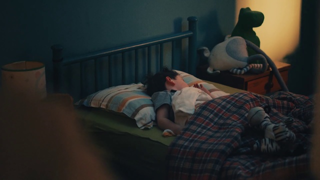 Video Reference: Bed, Room, Nap, Bedtime, Sleep, Furniture, Design, Plaid, Textile, Photography