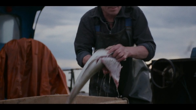 Video Reference: Photograph, Sitting, Human, Photography, Gentleman, Jacket
