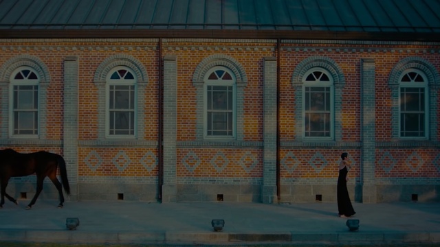 Video Reference: wall, architecture, tourist attraction, window, facade, building, house, brick, estate, brickwork, Person