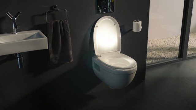 Video Reference: toilet, plumbing fixture, toilet seat, bathroom, bidet, public toilet, urinal, sink, floor, angle