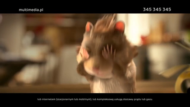 Video Reference: Photo caption, Ear, Fur, Whiskers, Photography, Mouth, Cat, Rat, Muridae, Felidae