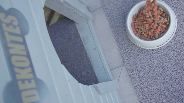 Video Reference: Food, Cuisine