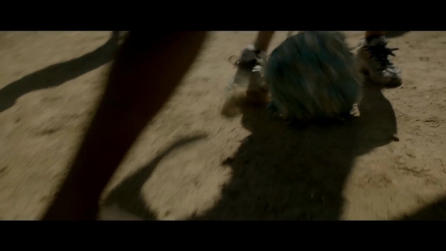 Video Reference: mammal, vertebrate, mode of transport, dog like mammal, screenshot, darkness, biome, dog breed group, carnivoran