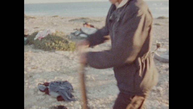 Video Reference: Adaptation, Fun, Photography