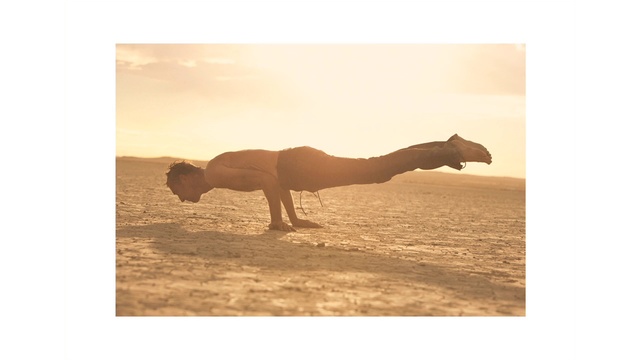 Video Reference: Camel, Desert, Camelid, Arabian camel, Natural environment, Landscape, Aeolian landform, Sahara, Wildlife, Sand