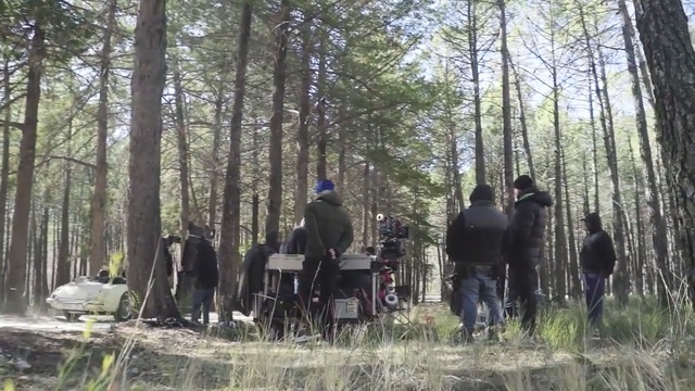 Video Reference: Woodland, Forest, Natural environment, Tree, Nature reserve, Old-growth forest, Plant, Grove, Recreation, Northern hardwood forest, Person