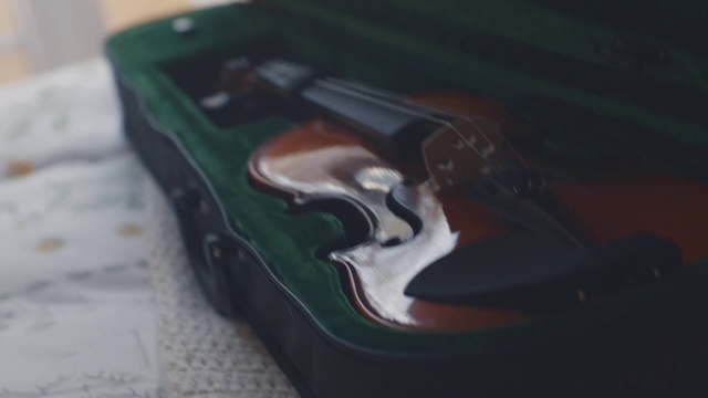 Video Reference: Vehicle door