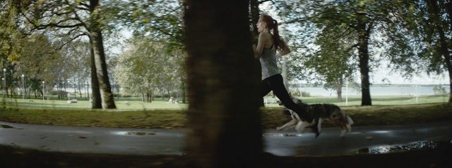 Video Reference: Nature, Photograph, Tree, Woody plant, Branch, Leg, Sunlight, Photography, Canidae, Plant