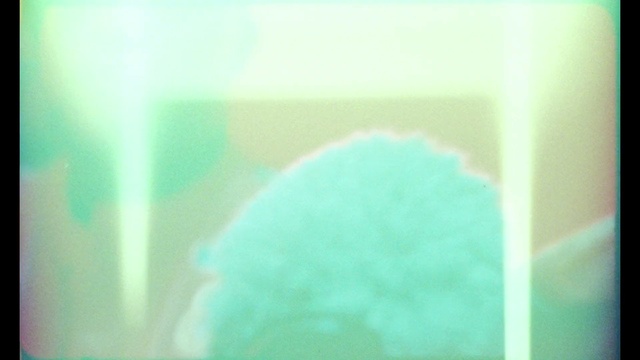 Video Reference: Green, Aqua, Blue, Turquoise, Teal, Pink, Sky, Font, Turquoise, Macro photography