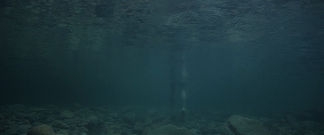 Video Reference: water, underwater, sea, atmosphere, light, geological phenomenon, marine biology, ocean, darkness, sunlight