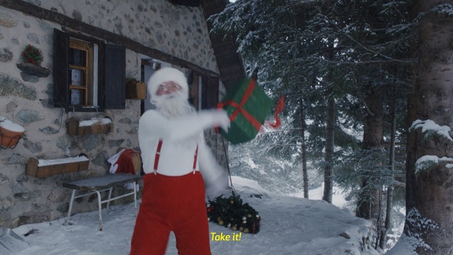 Video Reference: snow, winter, freezing, tree, ice, christmas