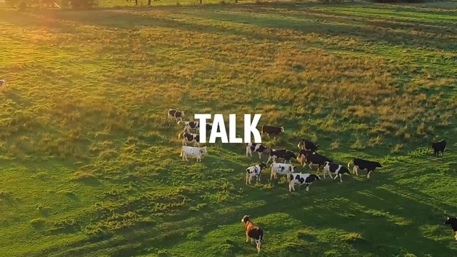 Video Reference: Grassland, Pasture, Natural landscape, Natural environment, Grazing, Grass, Farm, Meadow, Rural area, Plain