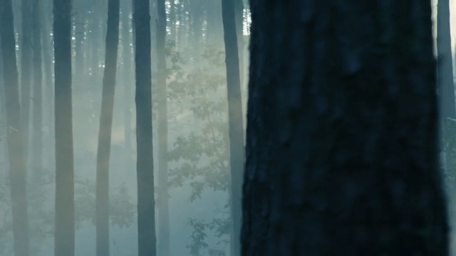 Video Reference: Blue, Green, Natural environment, Forest, Tree, Atmospheric phenomenon, Light, Atmosphere, Water, Turquoise