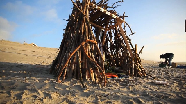 Video Reference: tree, sky, sand, wood, driftwood, landscape, aeolian landform
