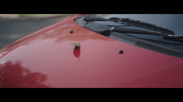 Video Reference: Red, Windshield, Vehicle door, Automotive exterior, Hood, Pink, Glass, Vehicle, Automotive window part, Auto part