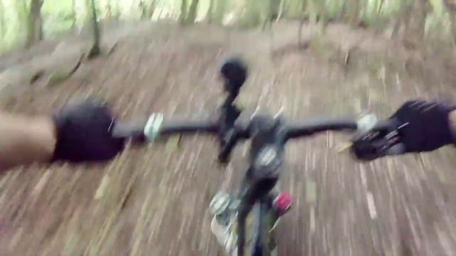 Video Reference: Bicycle, Mountain biking, Downhill mountain biking, Cycle sport, Vehicle, Mountain bike, Freeride, Trail, Sports equipment, Cycling