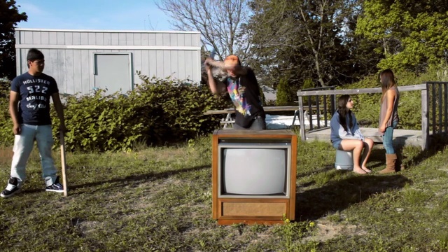 Video Reference: Fun, Flip (acrobatic), Grass, Tree, Jumping, Leisure