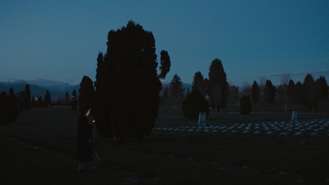 Video Reference: sky, tree, atmosphere, night, darkness, light, morning, dawn, evening, dusk