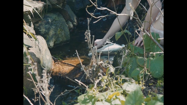 Video Reference: water, fauna, flora, tree, branch, plant, Person