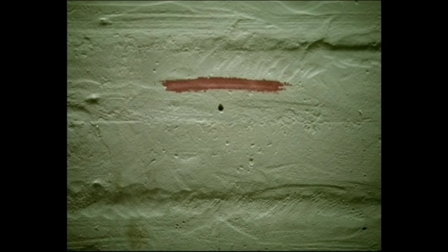 Video Reference: green, atmosphere, organism, wood, geology, sky, darkness