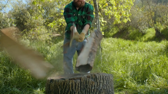 Video Reference: grass, tree, plant, woodland, grass family, jungle, wildlife, lawn, forest, Person