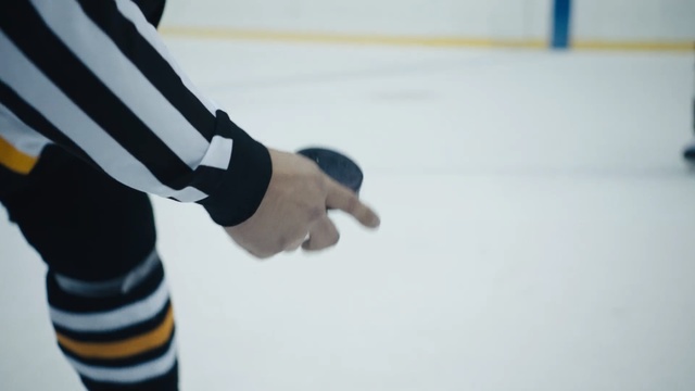 Video Reference: ice, ice hockey, sports, shoe, ice skating, winter sport, hand, ice skate, recreation, sportswear