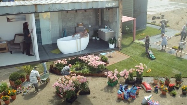 Video Reference: plant, recreation, Person