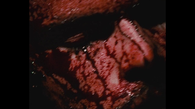 Video Reference: Flesh, Darkness, Organism, Design, Mouth, Jaw, Fiction, Photography, Geological phenomenon, Night