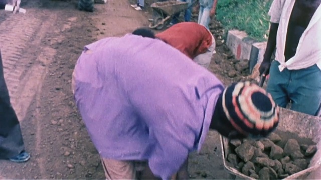 Video Reference: Soil, Plant