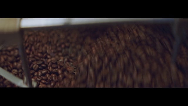 Video Reference: Hair, Brown, Artificial hair integrations, Hair accessory, Wood